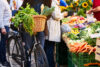 marchés en vendée